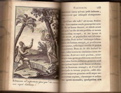Robinson Crusoeus Goffaux 1820 Le Feu